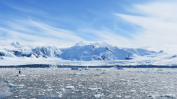 Will Glendinning Antarctica