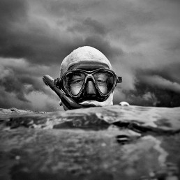 Will Glendinning Whale Sharks Research